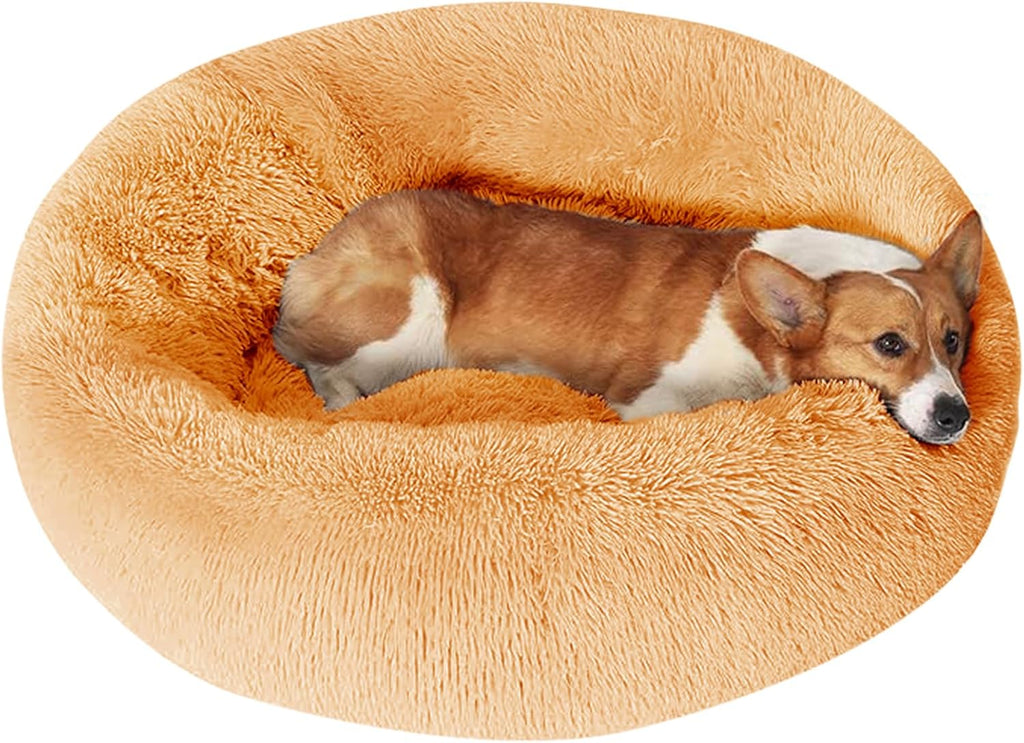 JOLLYVOGUE Dog & Cat Bed, Calming Anti-Anxiety Pet Bed for Small Dogs, Fluffy Donut Cushion for Small and Medium Pets (20")