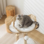 Modern Cat Tree for Indoor Cats Large Adult, 46" Tall Wooden Cat Tower for Large Cats with Scratching Post, Luxury Cat Condo, White