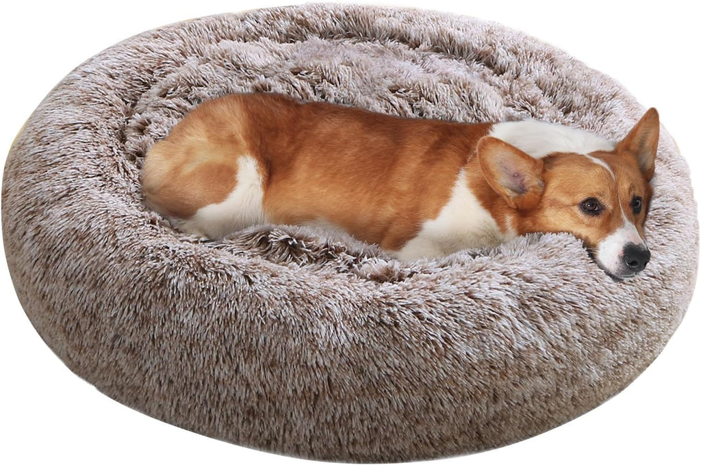 JOLLYVOGUE Dog & Cat Bed, Calming Anti-Anxiety Pet Bed for Small Dogs, Fluffy Donut Cushion for Small and Medium Pets (20")