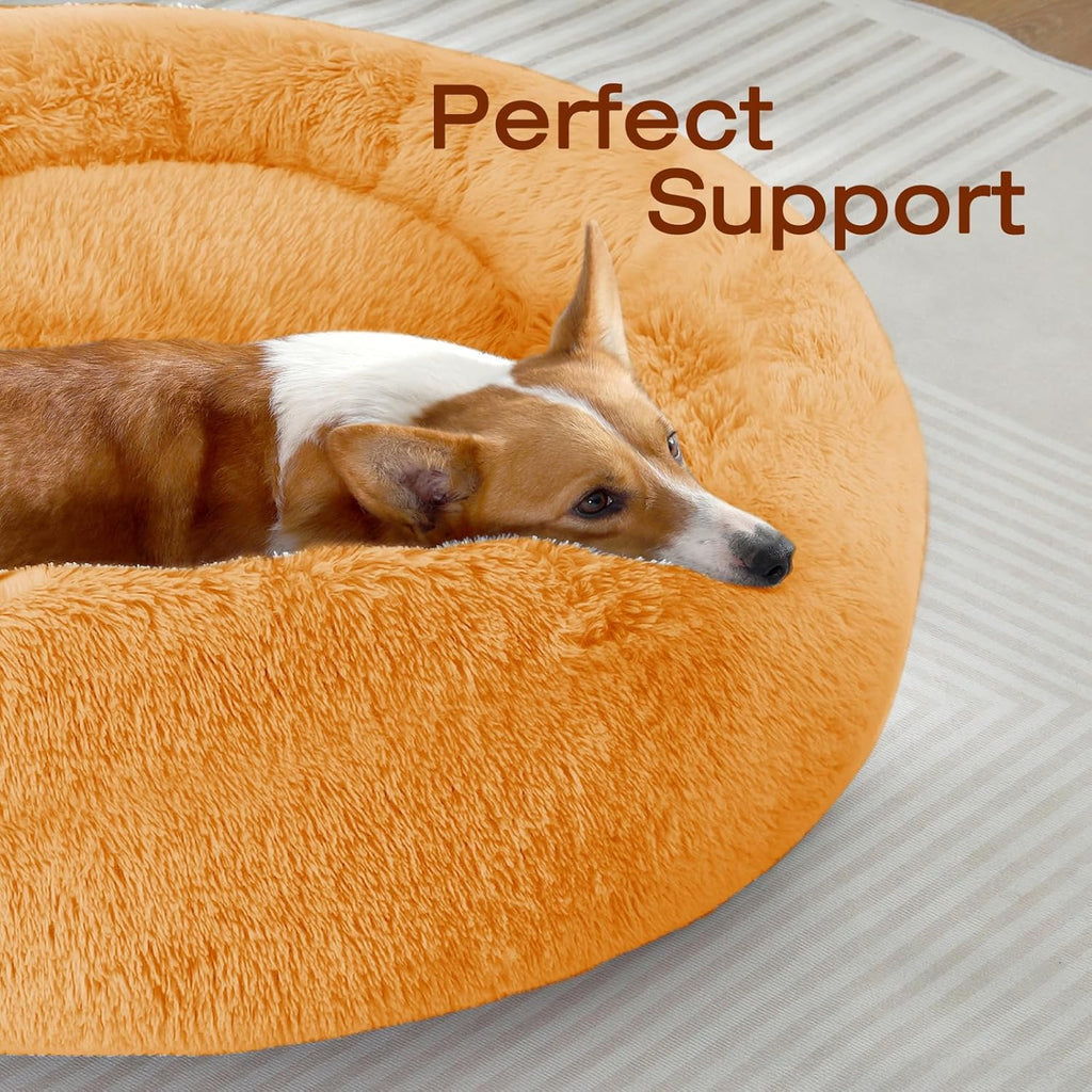 JOLLYVOGUE Dog & Cat Bed, Calming Anti-Anxiety Pet Bed for Small Dogs, Fluffy Donut Cushion for Small and Medium Pets (20")