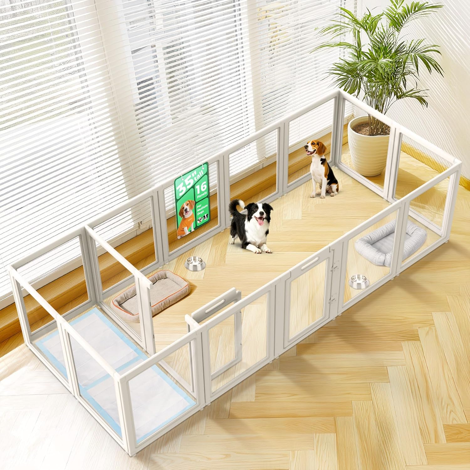 FXW AuraSpace Acrylic Indoor Dog Playpen for Puppies and Small Dogs, 24 Inch, 8 Panels, White