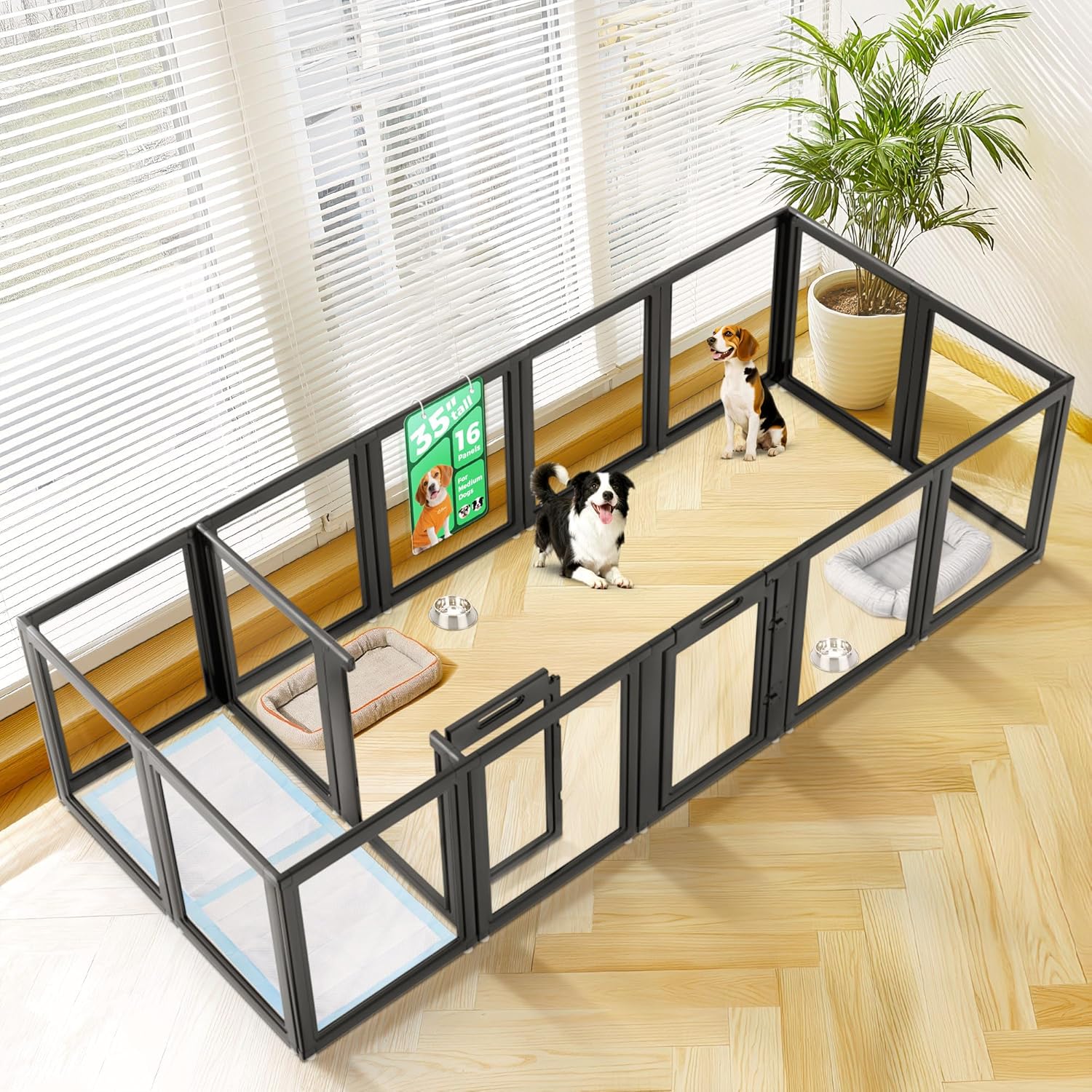 FXW AuraSpace Acrylic Indoor Dog Playpen for Puppies and Small Dogs, 24 Inch, 8 Panels, White
